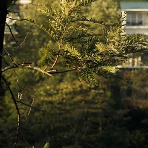 Falcon Crest Вагамон